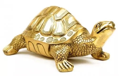 Con rùa phong thủy